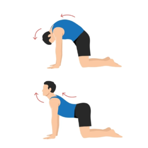 Fortalecer la zona lumbar