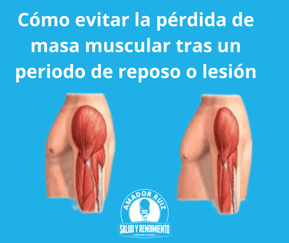 evitar perder masa muscular